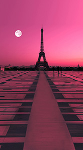 rose-colored-paris.jpg